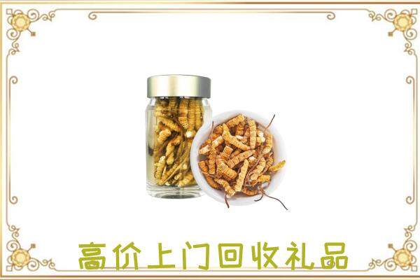 博湖周边回收虫草